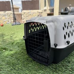 Travel pet carrier 