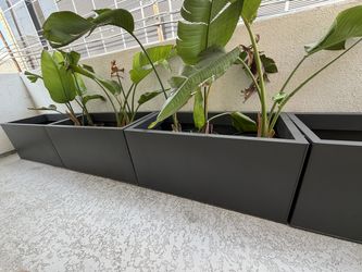 Block planters, Crate & Barrel, Matte Navy with plant & LED lights