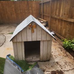 Dog House