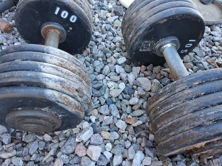 Dumbbell Weights