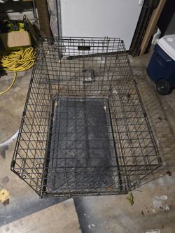 Dog Kennel