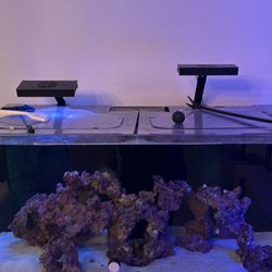 pro star fish tank 165 gallons