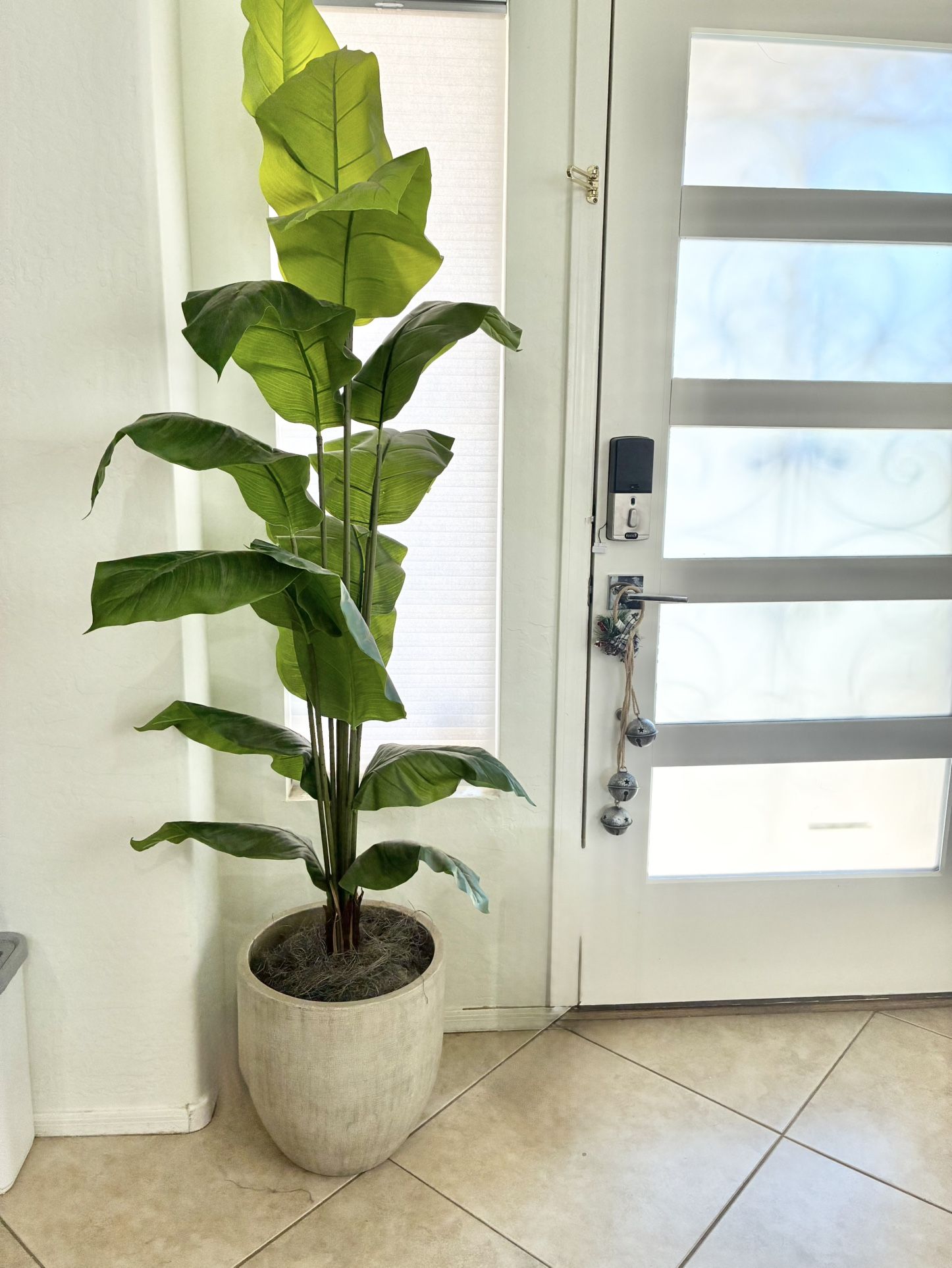 Fake Plant 6 Ft