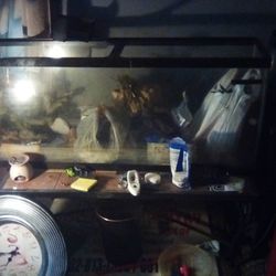 55 Gallon Fish Tank