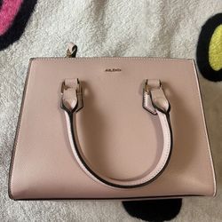 Pink Aldo Purse