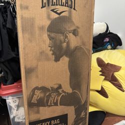 Brand New Everlast Heavy Bag