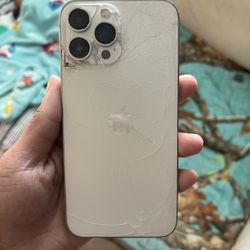 iPhone 13 Pro Max Back Broke 