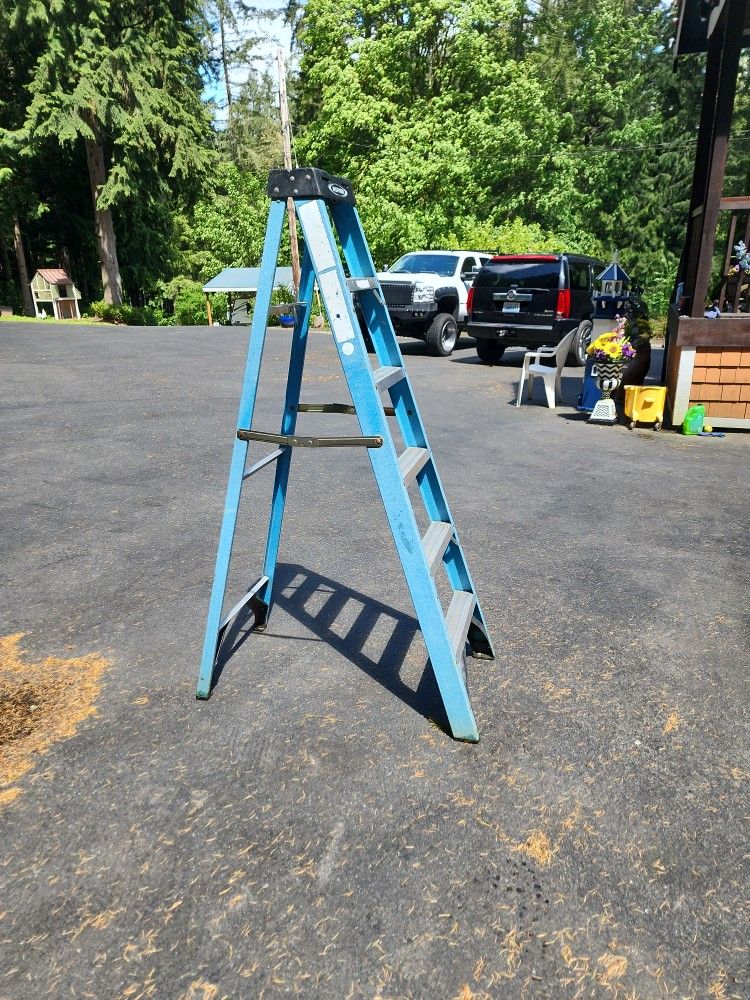 6' Ladder