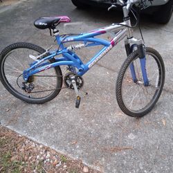 Schwinn GS25 Bike 