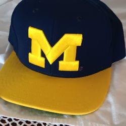 University Of Michigan Wool Hat New