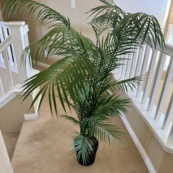 Fake Palm Plant