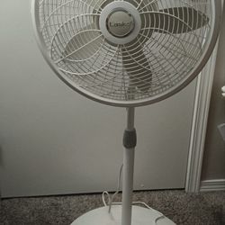 Fan