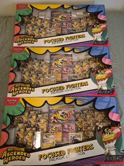 Pokémon focused fighters
