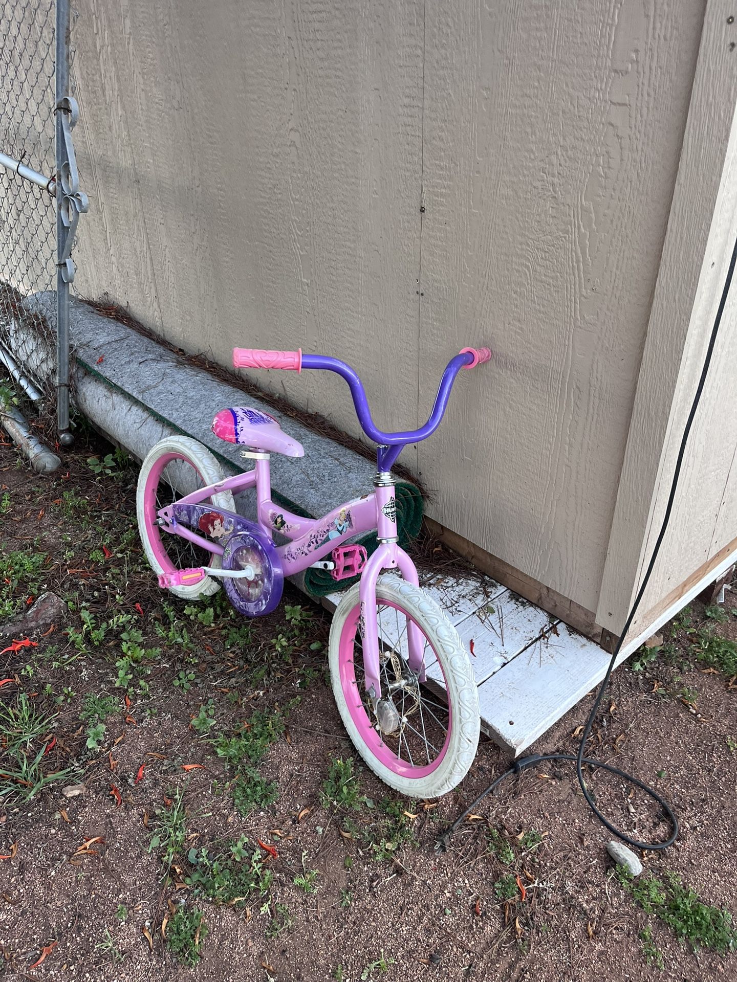 Princess Bike
