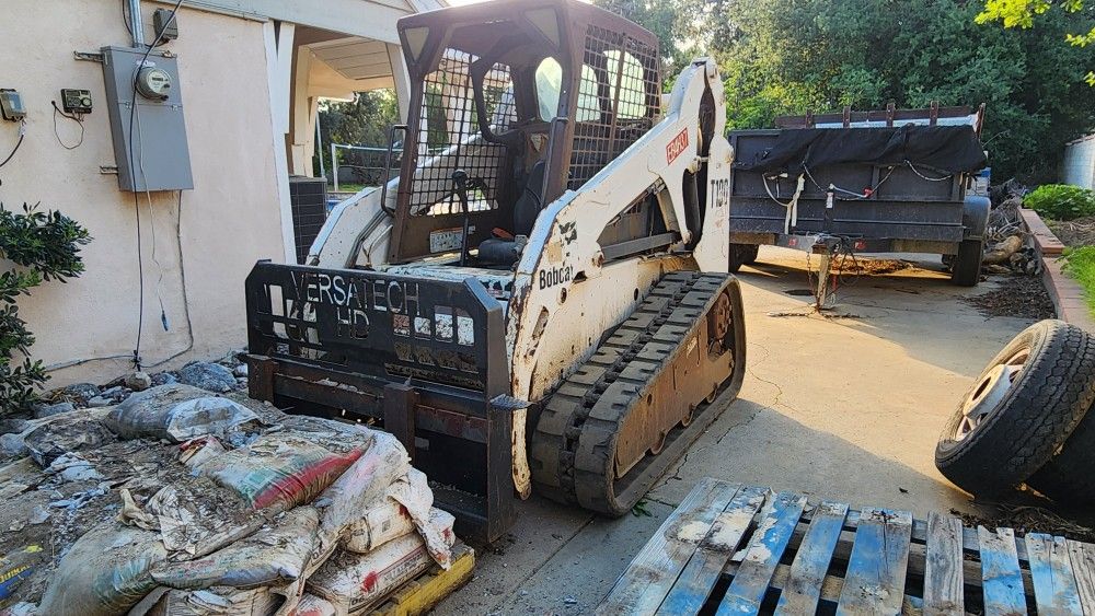 Bobcat