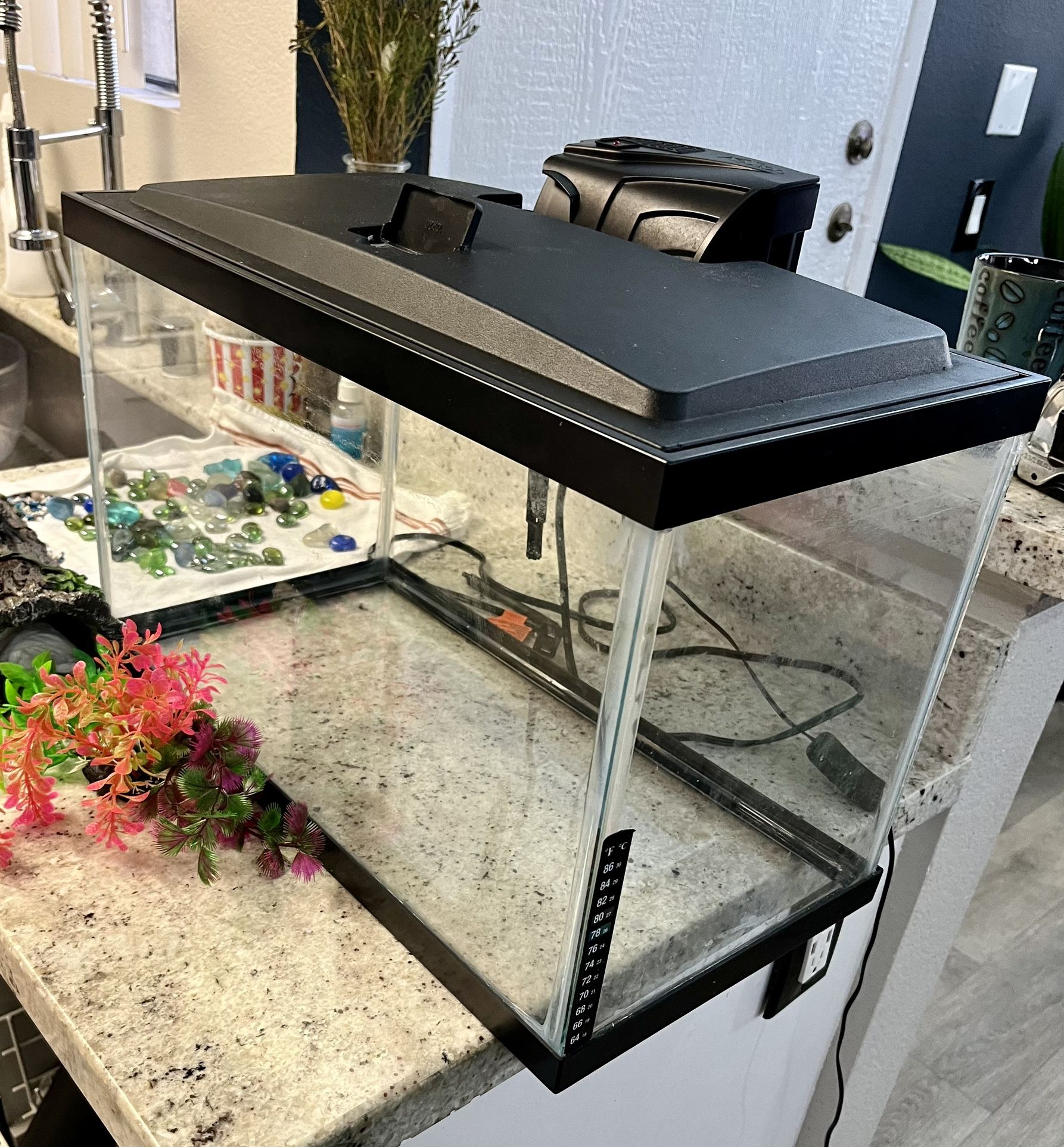 Fish Tank 10 Gallon