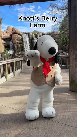 KNOTTS BERRY FARM 🎢🎡🍿🥤🍦(4) DIGITAL  TICKETS 🎟️ 🎟️🎟️🎟️ $200 PRICE FIRM