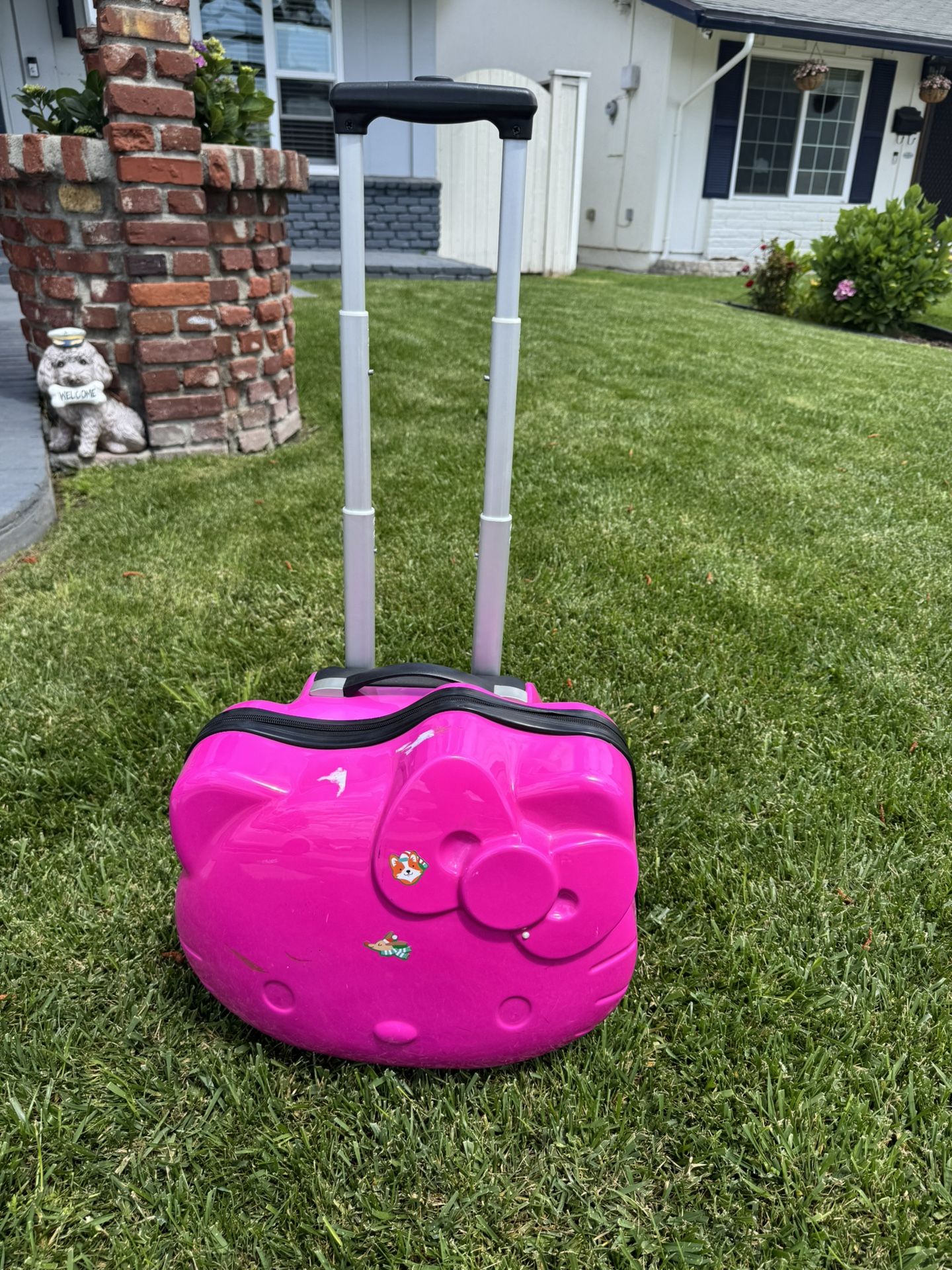 Hello kitty(kid’s Luggage)