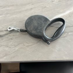 Small Retractable Dog Leash