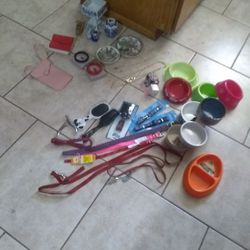 Dog dishes ECT. Oriental Figurines Japanese Plates Avon Bangles And Wallet A Pink Carry Straps See Your Phone Through The Back Side Avon Jewelry Earri