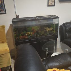 Fish Tank