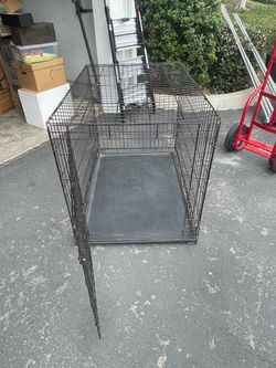 Petco XL Dog Kennel