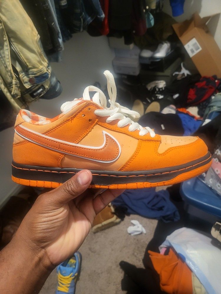 Nike Sb Orange Lobster Sz 8