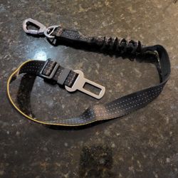 Dog Car Leash