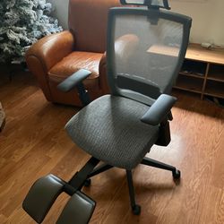 Ergonomic Office Chair Autonomous