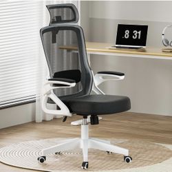 Egronomic Office Chair