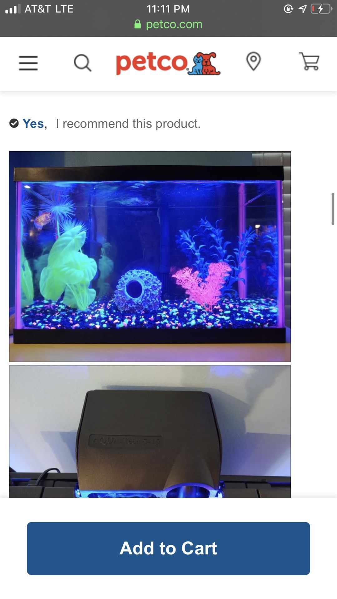 5.5 gallon brand new fish tank with Extras everything u can buy for glow fish 700$ value