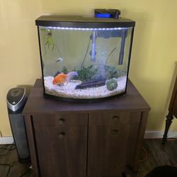 Fish Tank Stand -from petco
