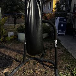 Everlast Boxing Punching Bag
