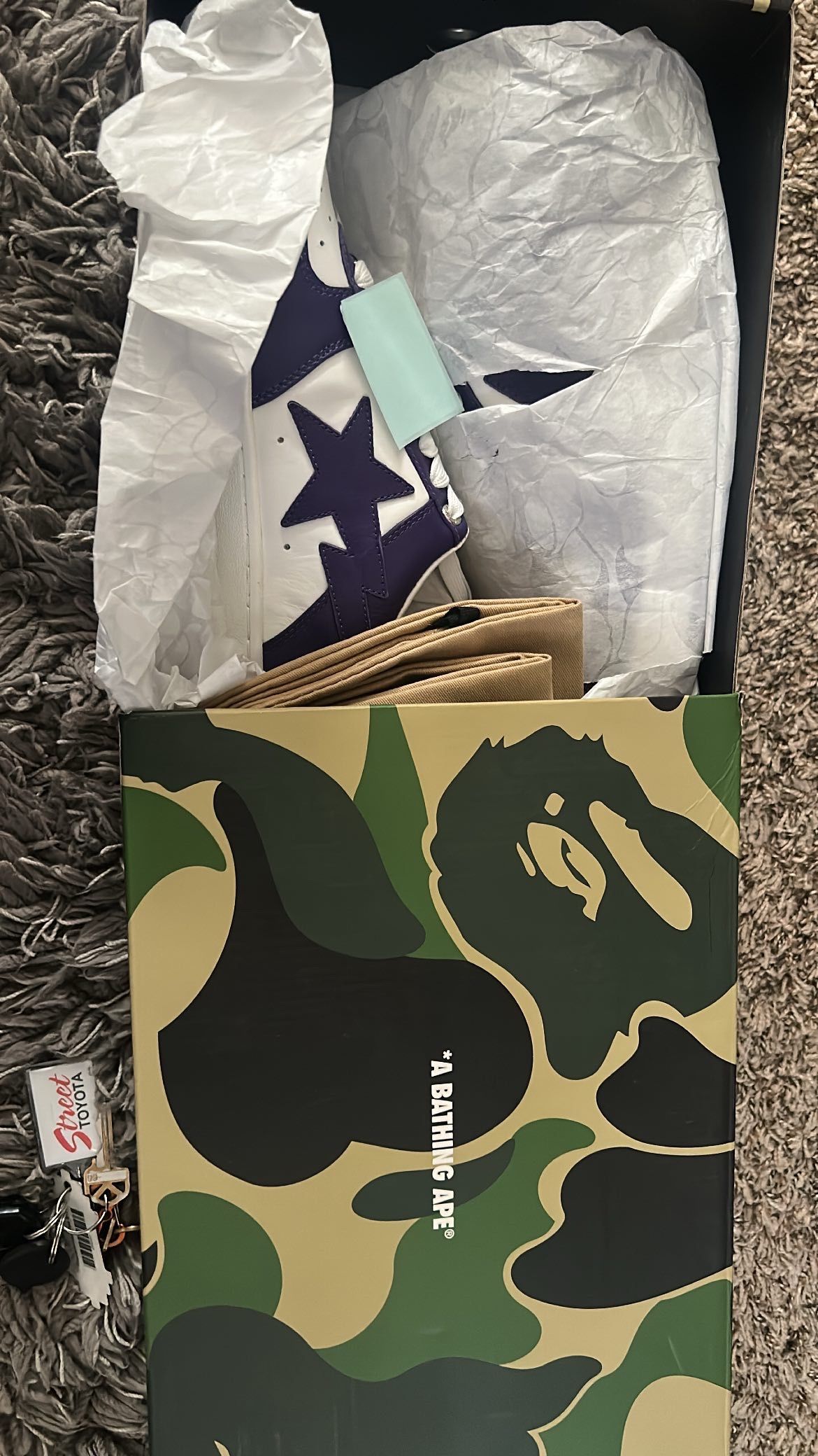 Bape Bapestia Shoes