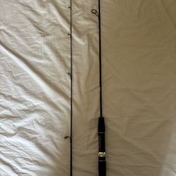 Berkeley Stinger Fishing Rod