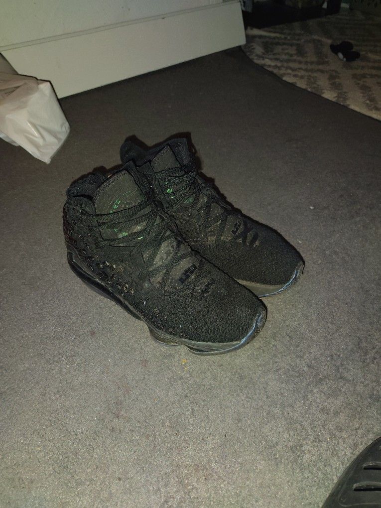 LBJ 17 global Currency Sz 11.