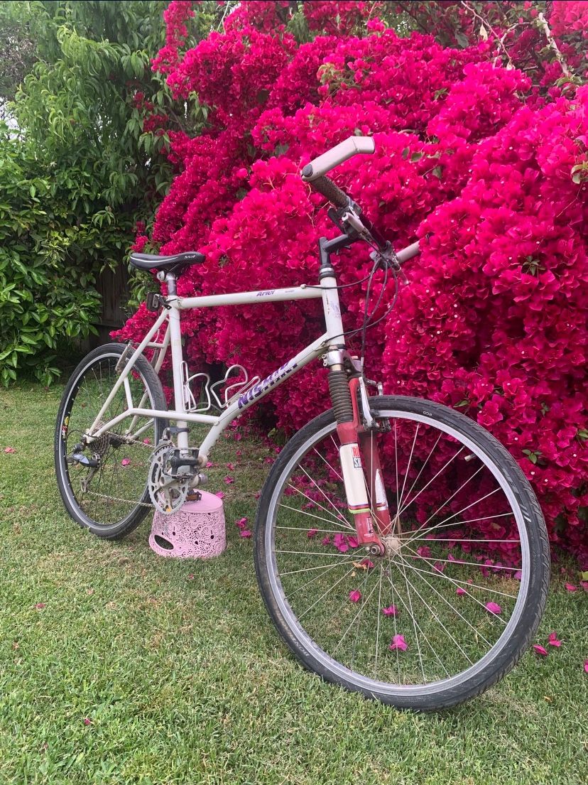 Nishiki Ariel Bike