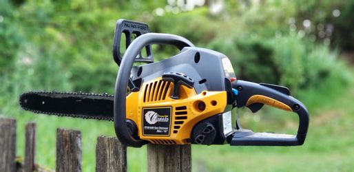 Poulan pro classic chainsaw online