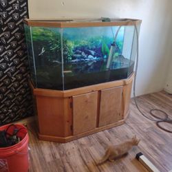 70 Gallon Fish Tank 
