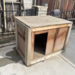 Dog House 