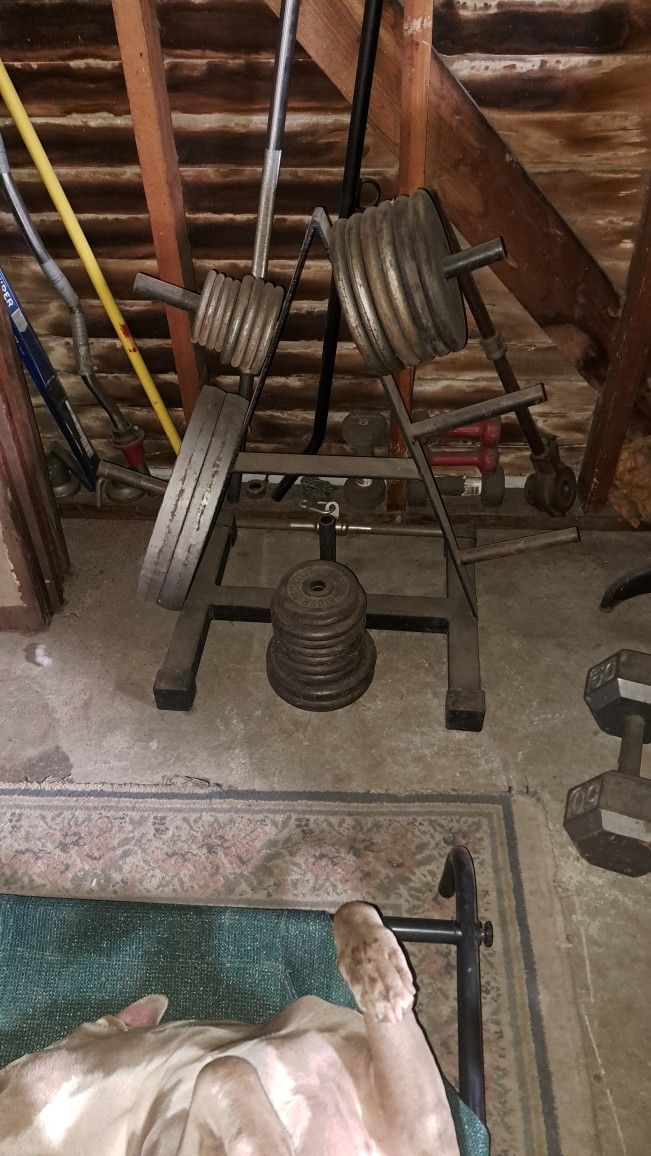 Workout Equipment For Sale.