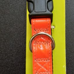 Simply GO Medium Dog Collar 