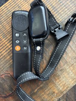 Shock collar
