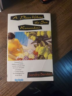 A Place Where the Sea Remembers Book