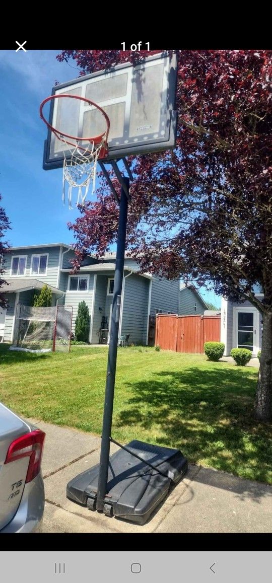 Lifetime Shatterproof Basketball Hoop