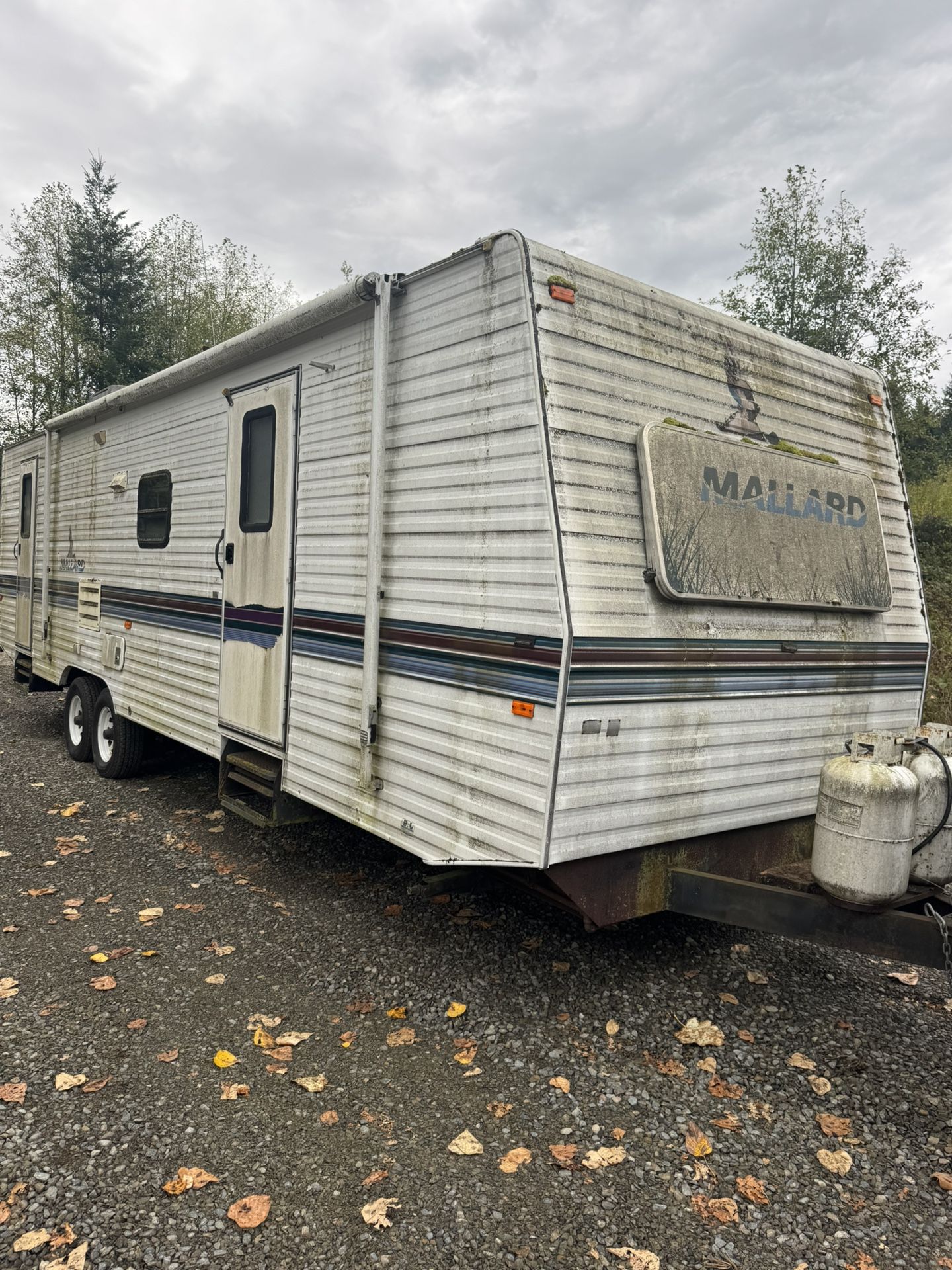 1996 Fleetwood Mallard