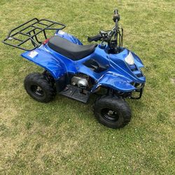 TAO TAO 110cc ATV 