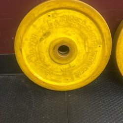 Bumper Plates 45lb