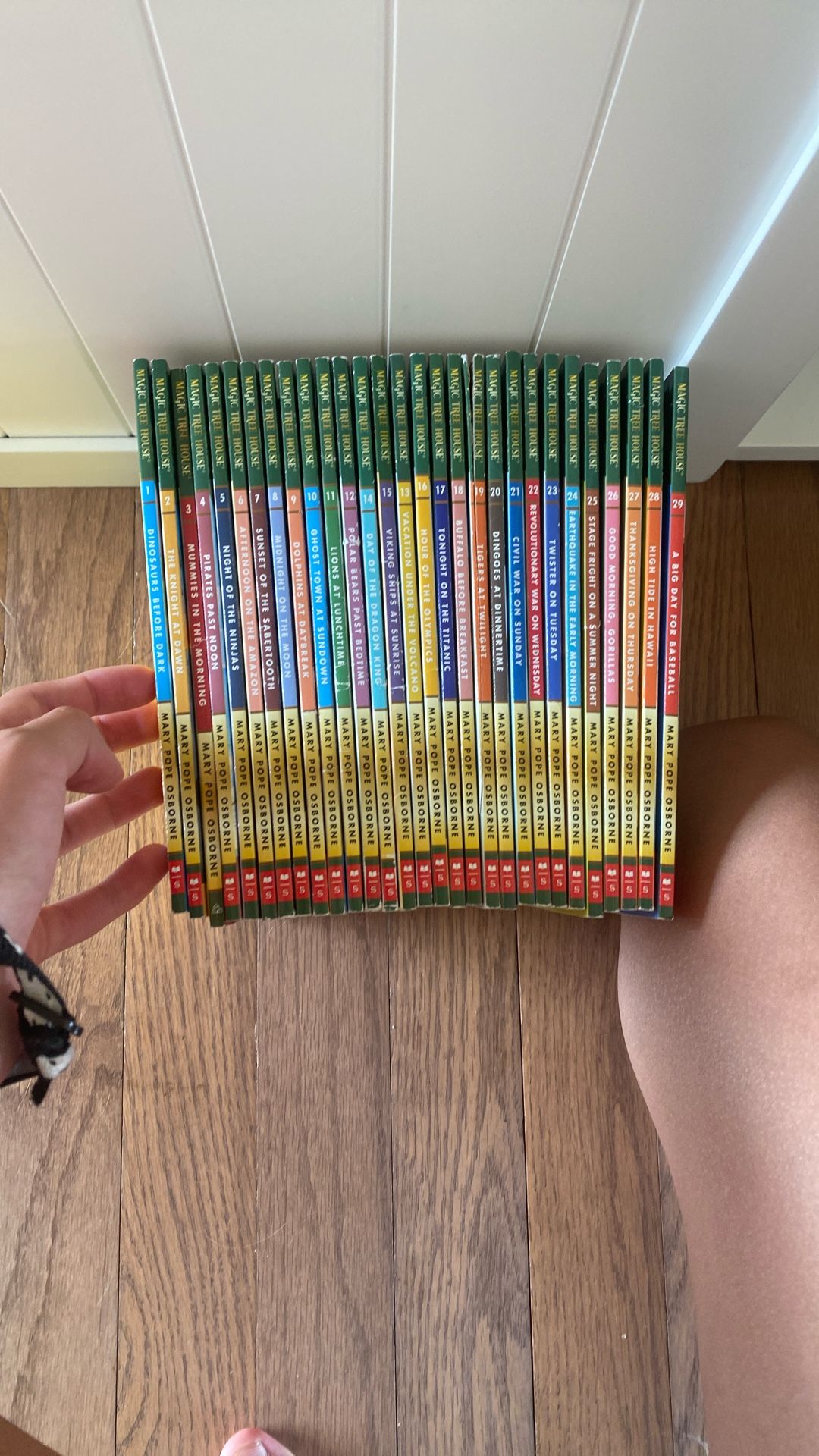Books 1-29 Of The Magic Treehouse Set
