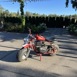Coleman Mini Bike